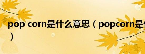 pop corn是什么意思（popcorn是什么意思）