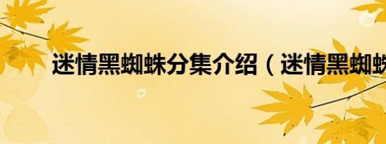 迷情黑蜘蛛分集介绍（迷情黑蜘蛛）