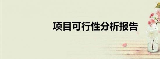 项目可行性分析报告