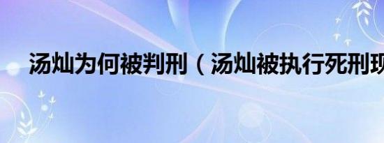 汤灿为何被判刑（汤灿被执行死刑现场）