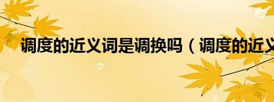调度的近义词是调换吗（调度的近义词）