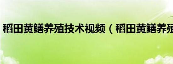 稻田黄鳝养殖技术视频（稻田黄鳝养殖技术）