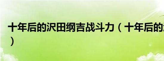 十年后的沢田纲吉战斗力（十年后的沢田纲吉）