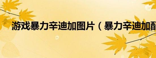 游戏暴力辛迪加图片（暴力辛迪加配置）