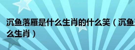 沉鱼落雁是什么生肖的什么笑（沉鱼落雁是什么生肖）