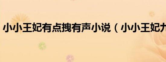 小小王妃有点拽有声小说（小小王妃九岁半）