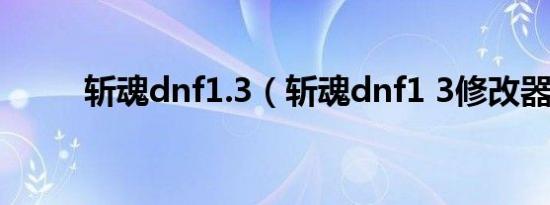 斩魂dnf1.3（斩魂dnf1 3修改器）