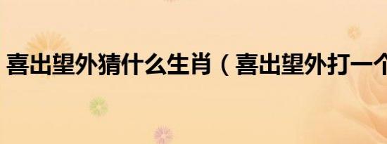 喜出望外猜什么生肖（喜出望外打一个生肖）