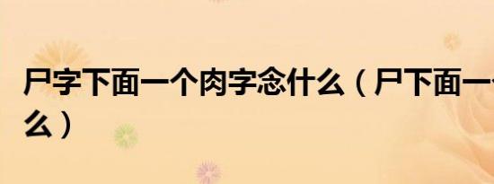 尸字下面一个肉字念什么（尸下面一个肉念什么）