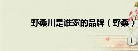 野桑川是谁家的品牌（野桑）
