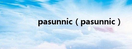 pasunnic（pasunnic）