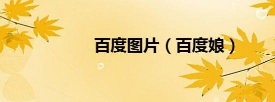 百度图片（百度娘）