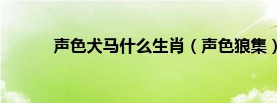 声色犬马什么生肖（声色狼集）