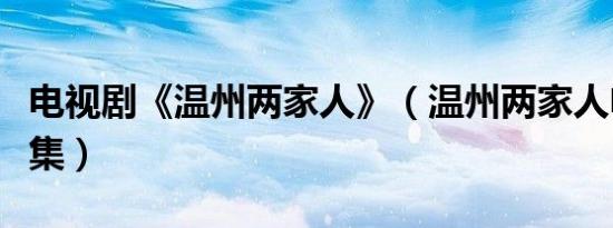 电视剧《温州两家人》（温州两家人电视剧全集）