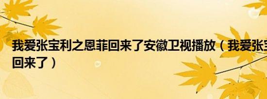我爱张宝利之恩菲回来了安徽卫视播放（我爱张宝利之恩菲回来了）