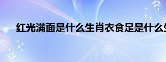 红光满面是什么生肖衣食足是什么生肖