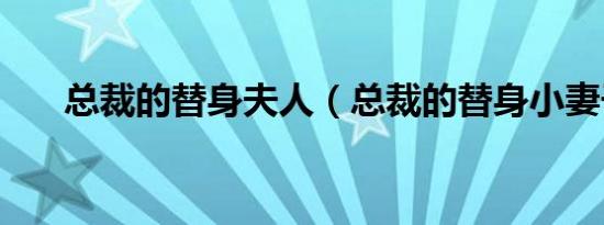 总裁的替身夫人（总裁的替身小妻子）