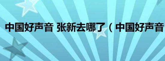 中国好声音 张新去哪了（中国好声音 张新）