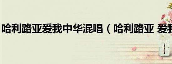 哈利路亚爱我中华混唱（哈利路亚 爱我中华）