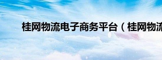 桂网物流电子商务平台（桂网物流）