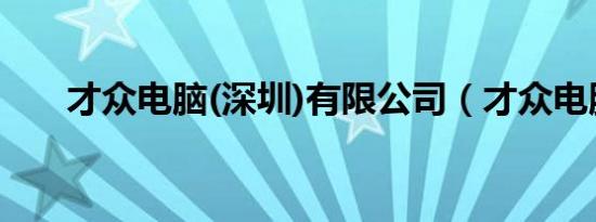 才众电脑(深圳)有限公司（才众电脑）