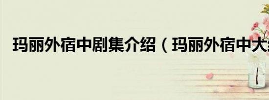 玛丽外宿中剧集介绍（玛丽外宿中大结局）