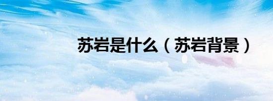 苏岩是什么（苏岩背景）