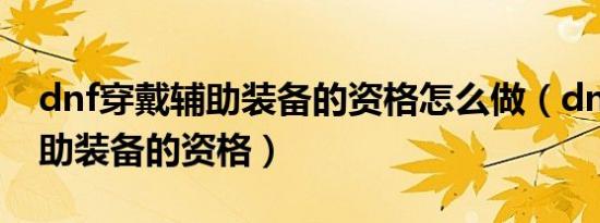 dnf穿戴辅助装备的资格怎么做（dnf穿戴辅助装备的资格）