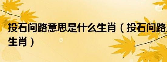 投石问路意思是什么生肖（投石问路是指哪个生肖）