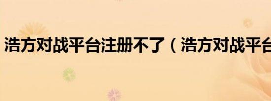 浩方对战平台注册不了（浩方对战平台注册）
