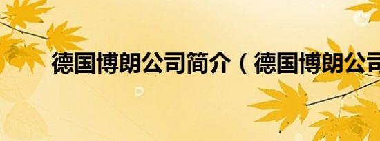 德国博朗公司简介（德国博朗公司）