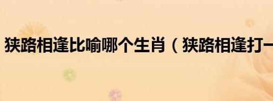 狭路相逢比喻哪个生肖（狭路相逢打一生肖）