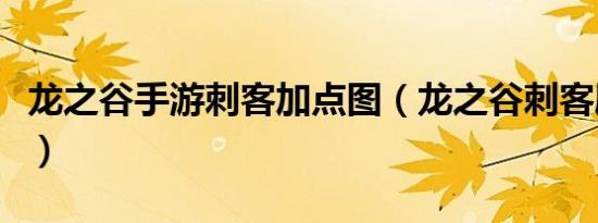 龙之谷手游刺客加点图（龙之谷刺客刷图加点）