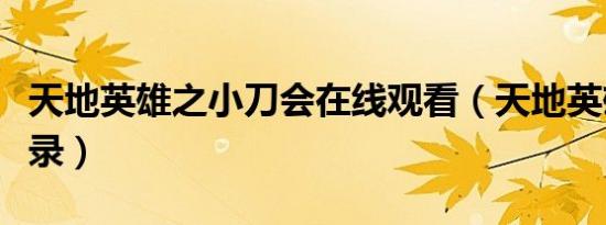 天地英雄之小刀会在线观看（天地英雄之将星录）