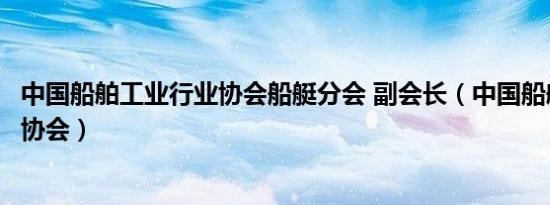 中国船舶工业行业协会船艇分会 副会长（中国船舶工业行业协会）