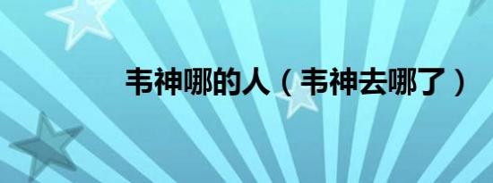 韦神哪的人（韦神去哪了）