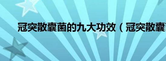 冠突散囊菌的九大功效（冠突散囊菌）