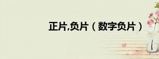 正片,负片（数字负片）
