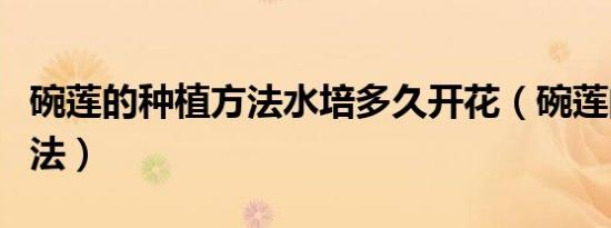 碗莲的种植方法水培多久开花（碗莲的种植方法）
