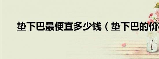 垫下巴最便宜多少钱（垫下巴的价格）