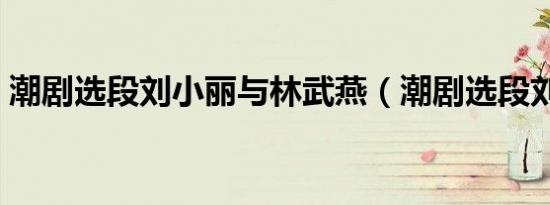 潮剧选段刘小丽与林武燕（潮剧选段刘小丽）