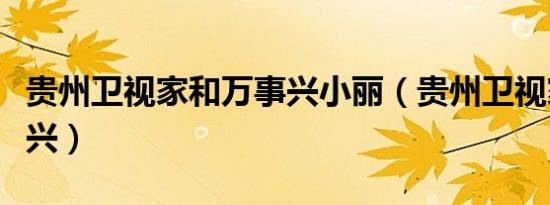 贵州卫视家和万事兴小丽（贵州卫视家和万事兴）