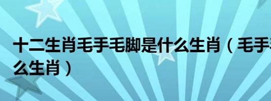 十二生肖毛手毛脚是什么生肖（毛手毛脚是什么生肖）