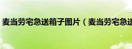 麦当劳宅急送箱子图片（麦当劳宅急送电话）