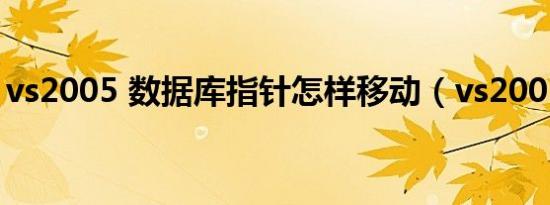 vs2005 数据库指针怎样移动（vs2005 sp1）