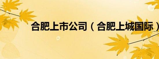 合肥上市公司（合肥上城国际）