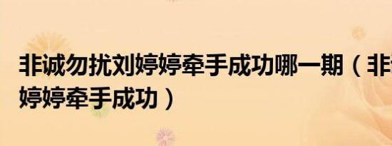 非诚勿扰刘婷婷牵手成功哪一期（非诚勿扰刘婷婷牵手成功）