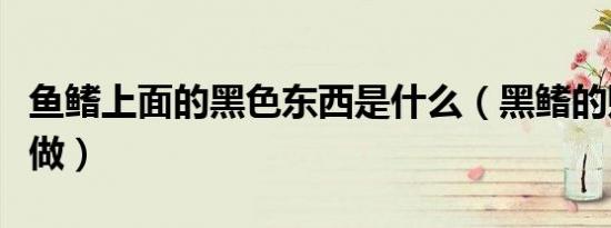 鱼鳍上面的黑色东西是什么（黑鳍的赃物怎么做）