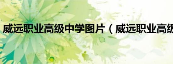 威远职业高级中学图片（威远职业高级中学）