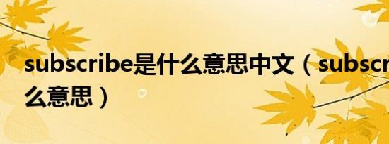 subscribe是什么意思中文（subscribe是什么意思）